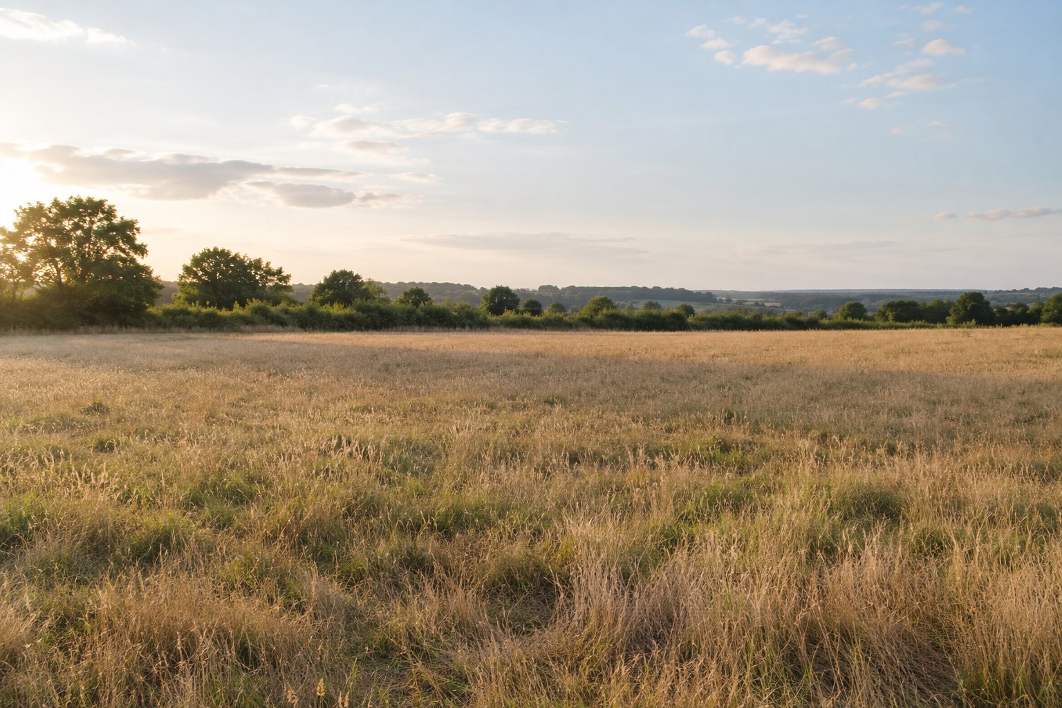 An open dry grass field with no excavation